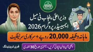 CM Punjab Female Ambassador Program