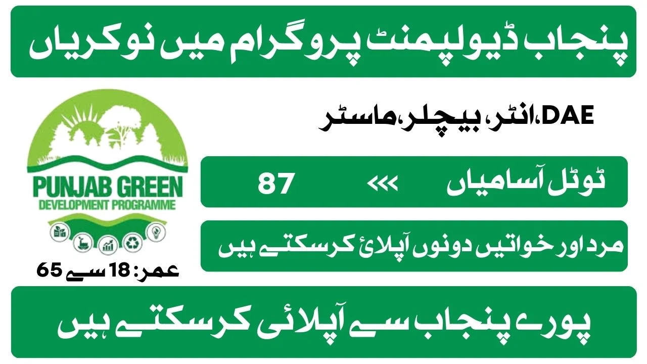 Punjab Development Program PMU Jobs