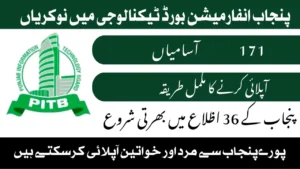 Punjab Information Technology Board PITB Jobs