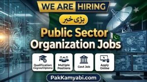 Public Sector Organization Jobs