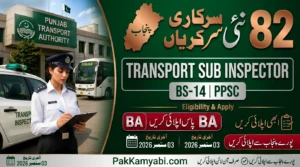 Punjab Provincial Transport Authority Jobs
