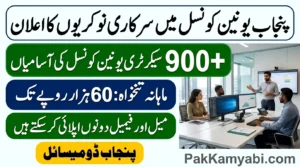 Punjab Union Council Secretary Jobs