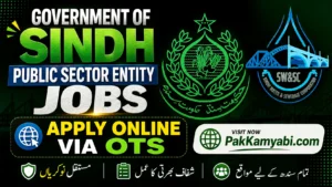 Sindh Public Sector Entity Jobs